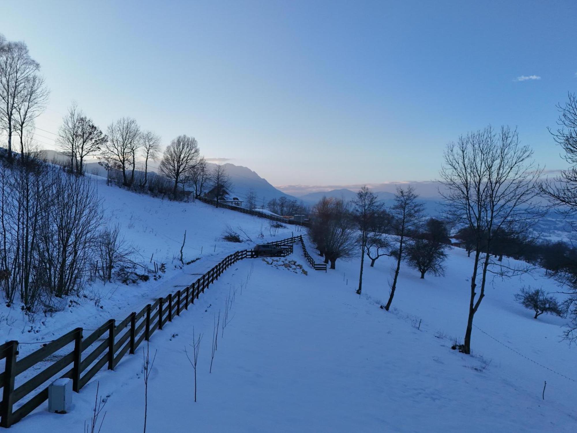 Doza De Verde Retreat&Spa Bran-Adults Only Sohodol  Bagian luar foto